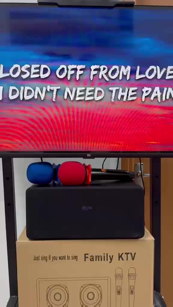 Family KTV Karaoke Speaker System — image 2