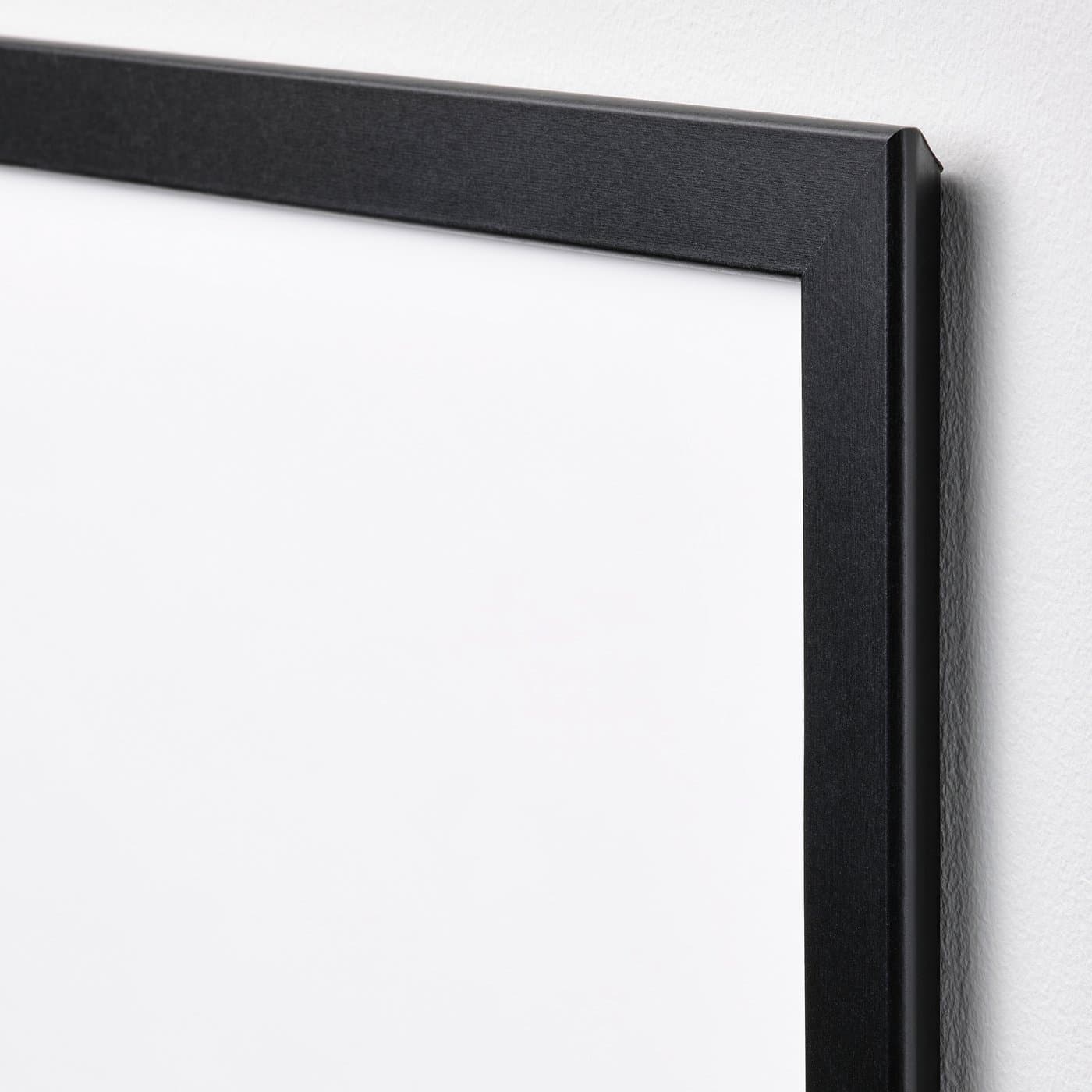 FISKBO Frame — image 4