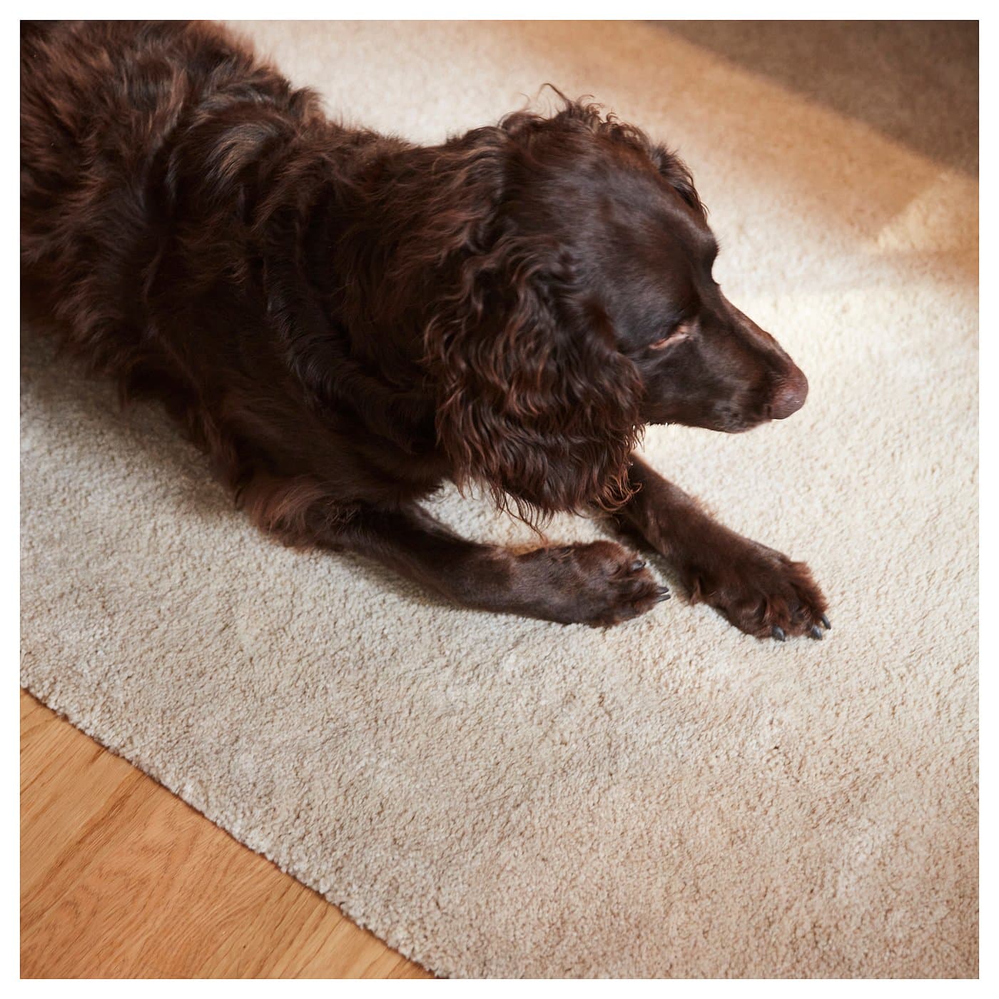 STOENSE Rug, low pile — image 5