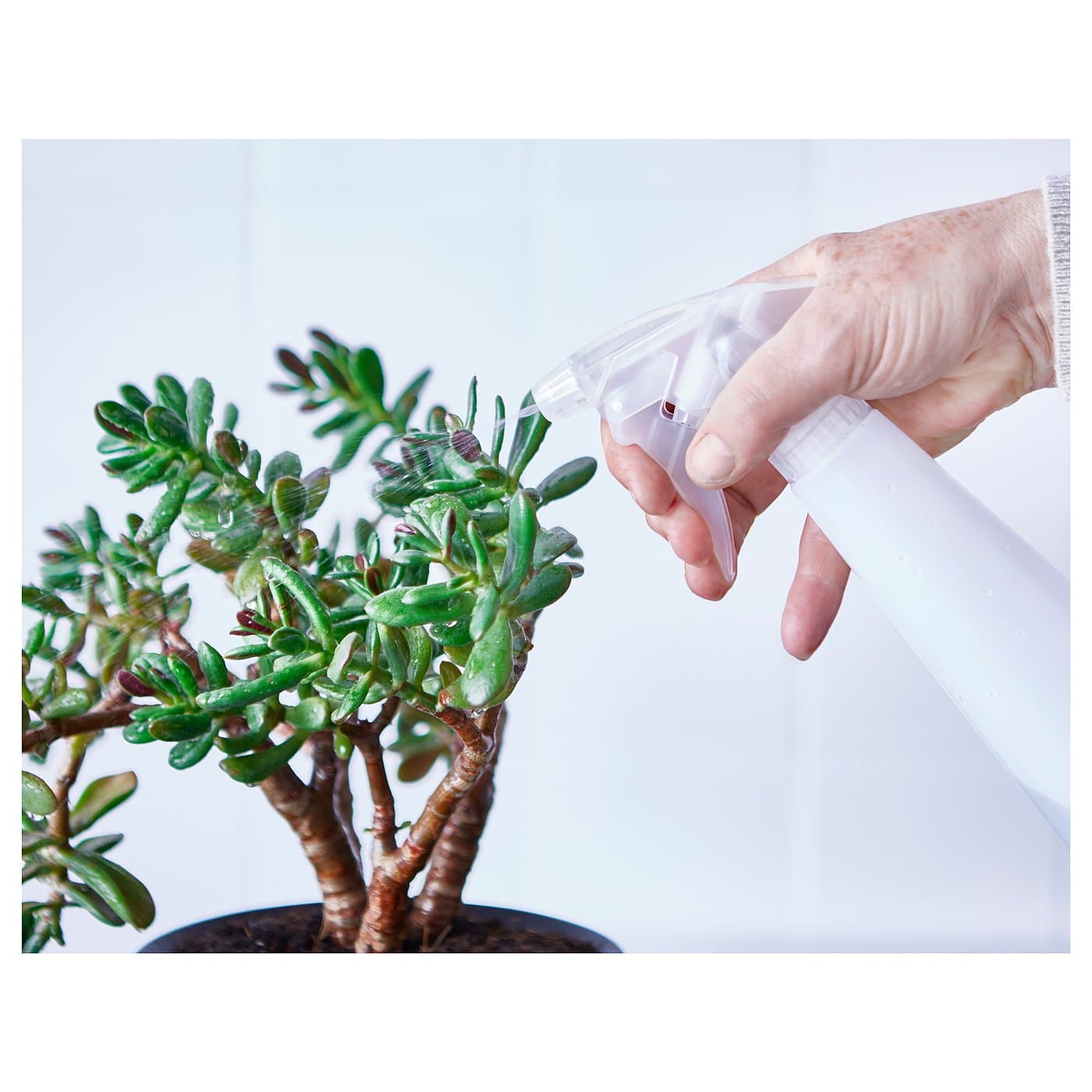 TOMAT Spray bottle - white 35 cl — image 5