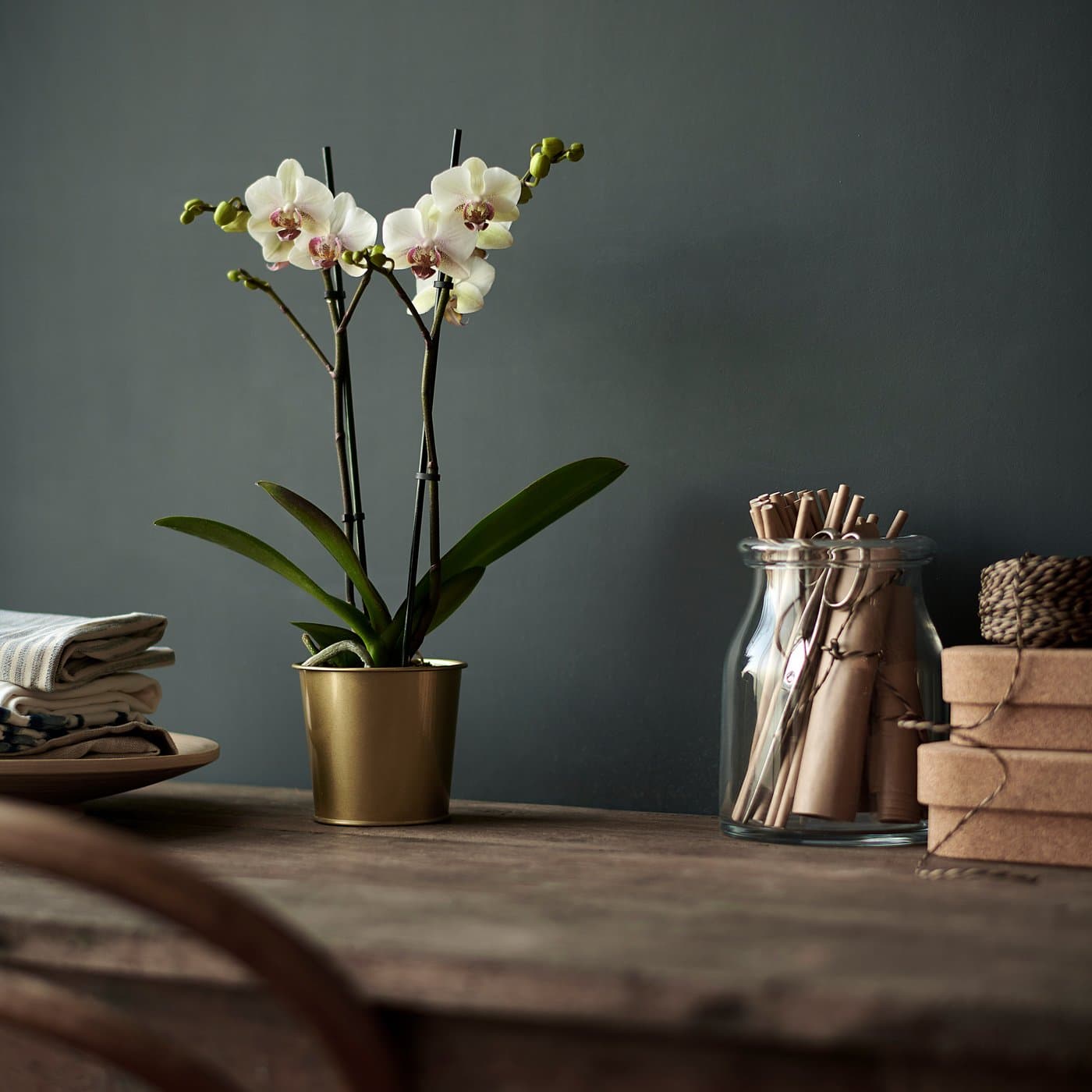 DAIDAI Plant pot — image 2