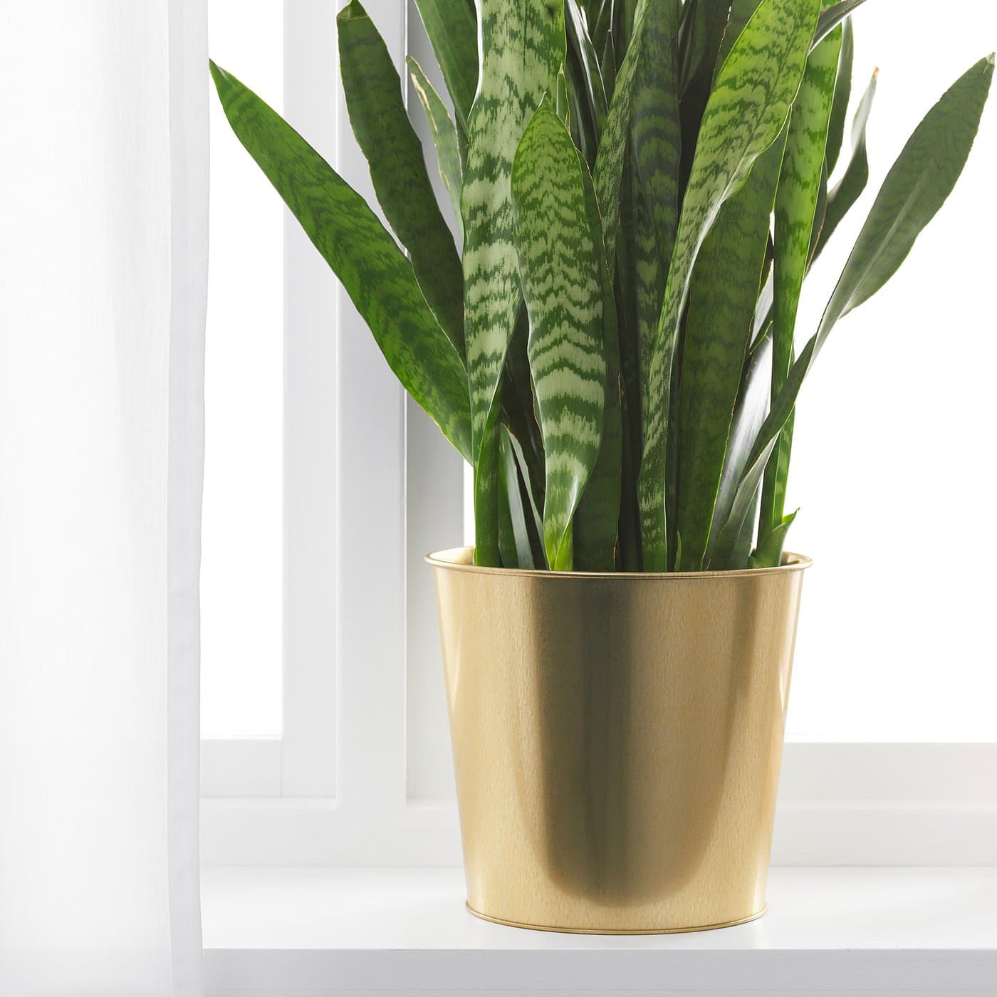 DAIDAI Plant pot — image 10