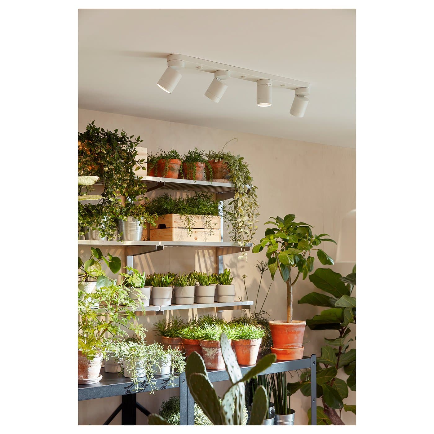 NYMÅNE Ceiling spotlight with 4 spots - white — image 3