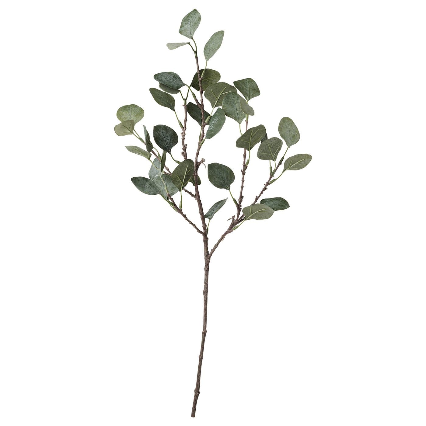SMYCKA Artificial leaf - eucalyptus/green 65 cm — image 1