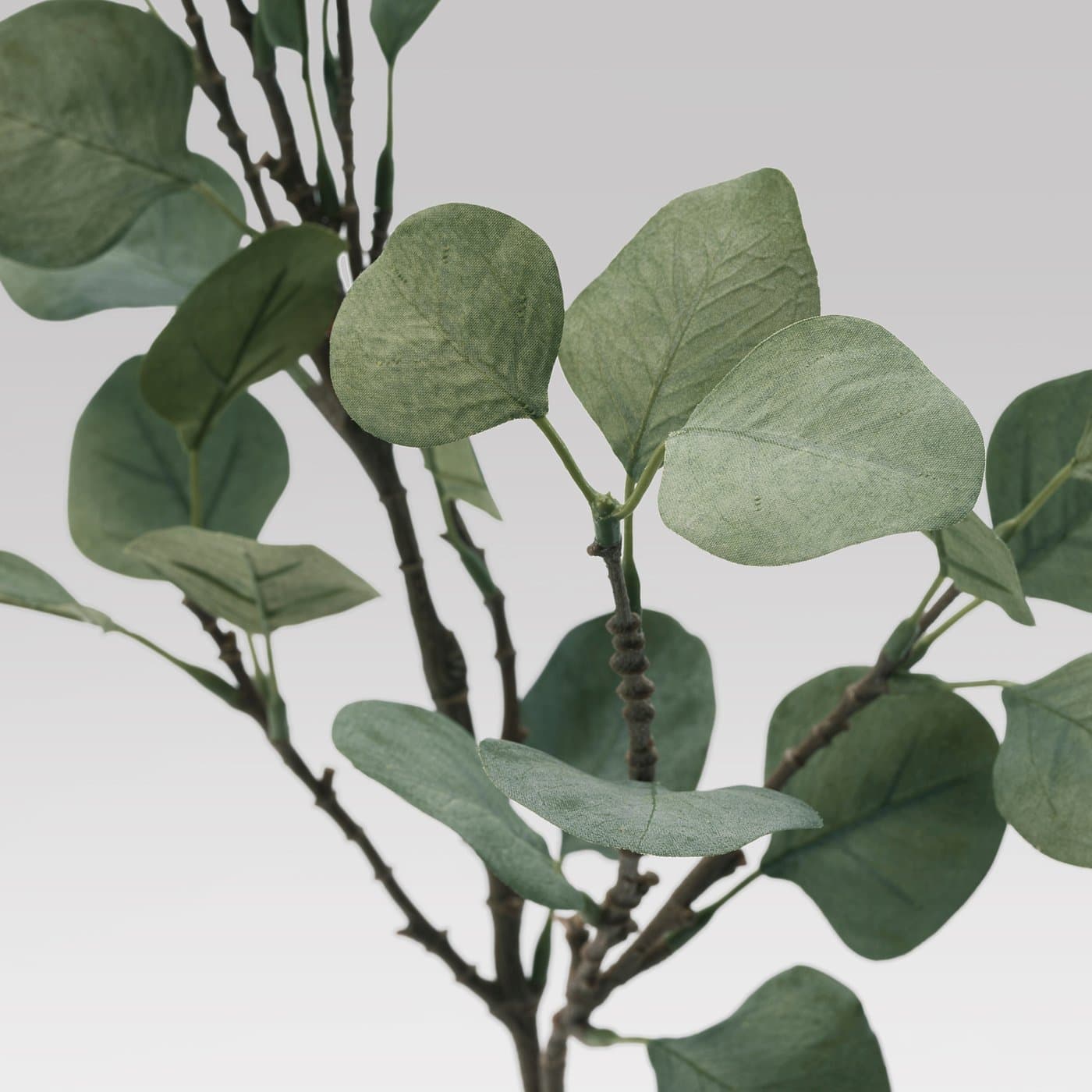 SMYCKA Artificial leaf - eucalyptus/green 65 cm — image 6