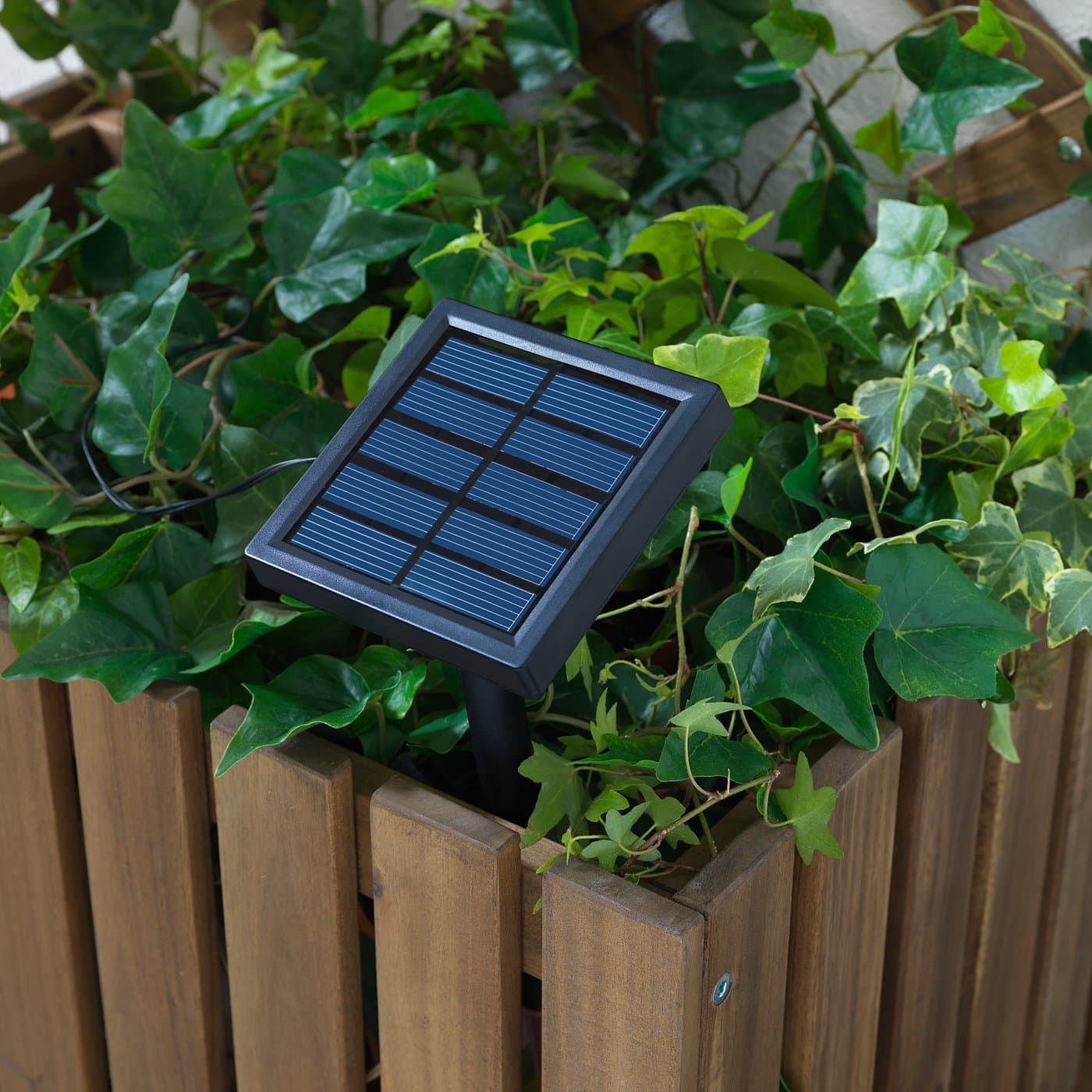 SOLARVET LED lighting chain with 24 lights - outdoor solar-powered/ball white — image 3
